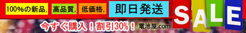 電池屋 売れ筋ランキング